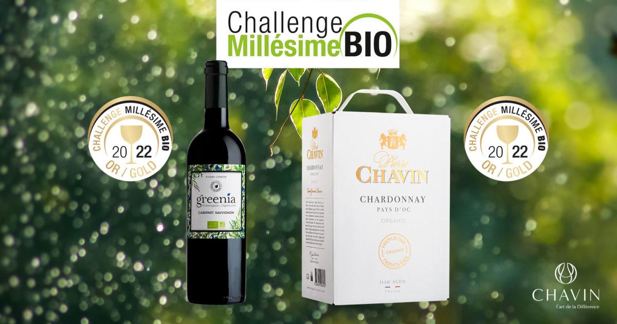 Chavin - Challenge Millésime bio 2022